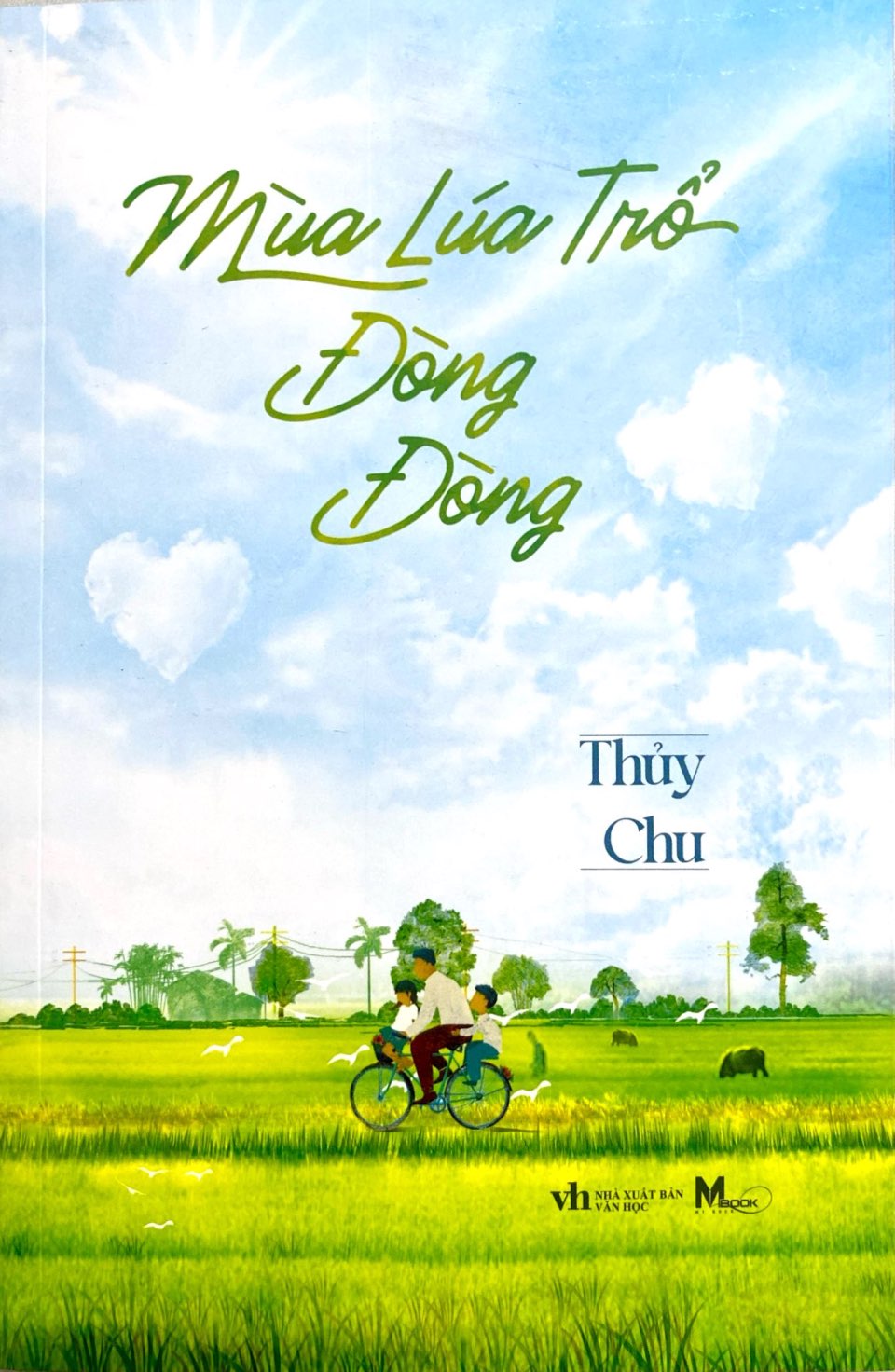 mùa lúa trổ đòng đòng