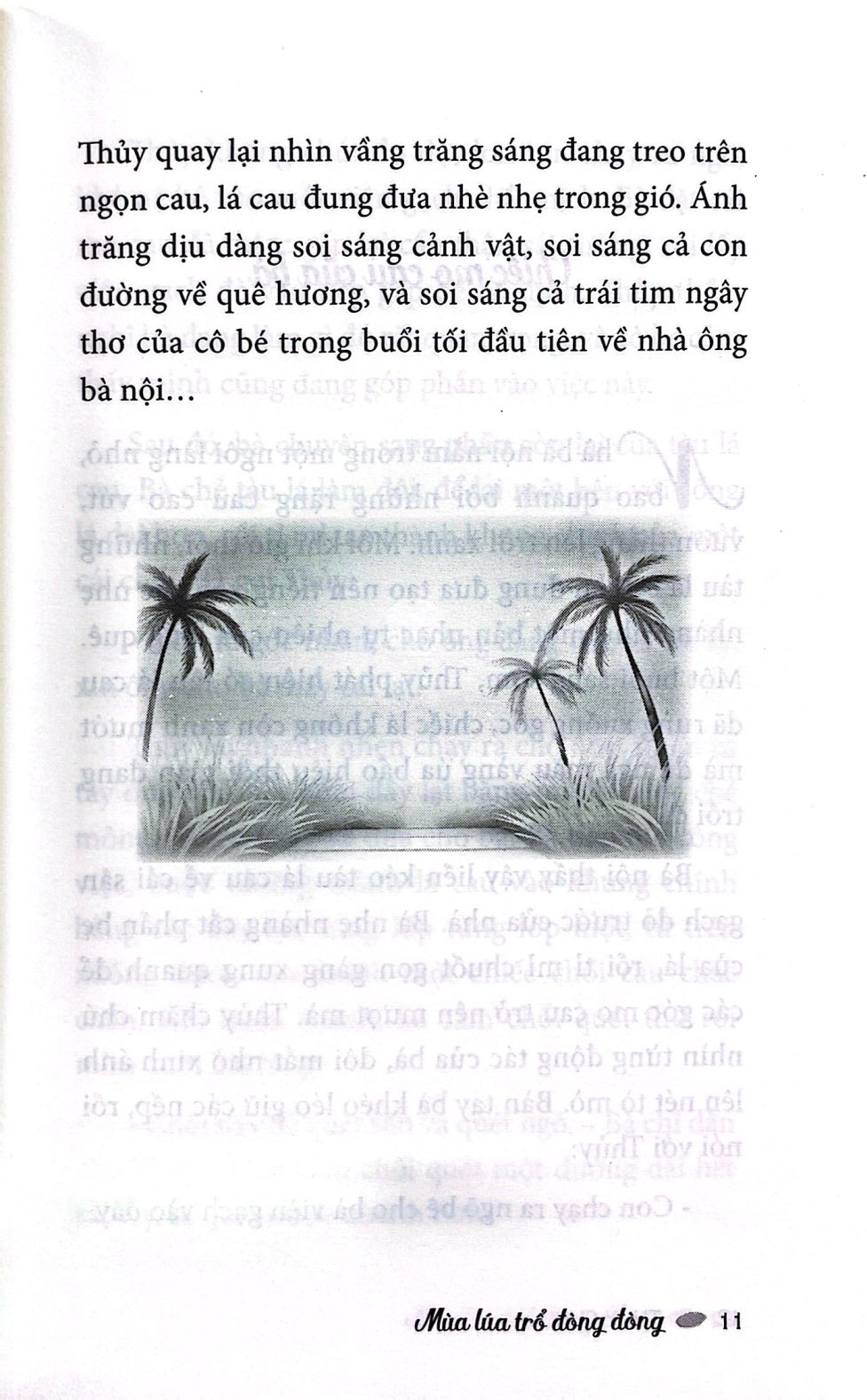 mùa lúa trổ đòng đòng