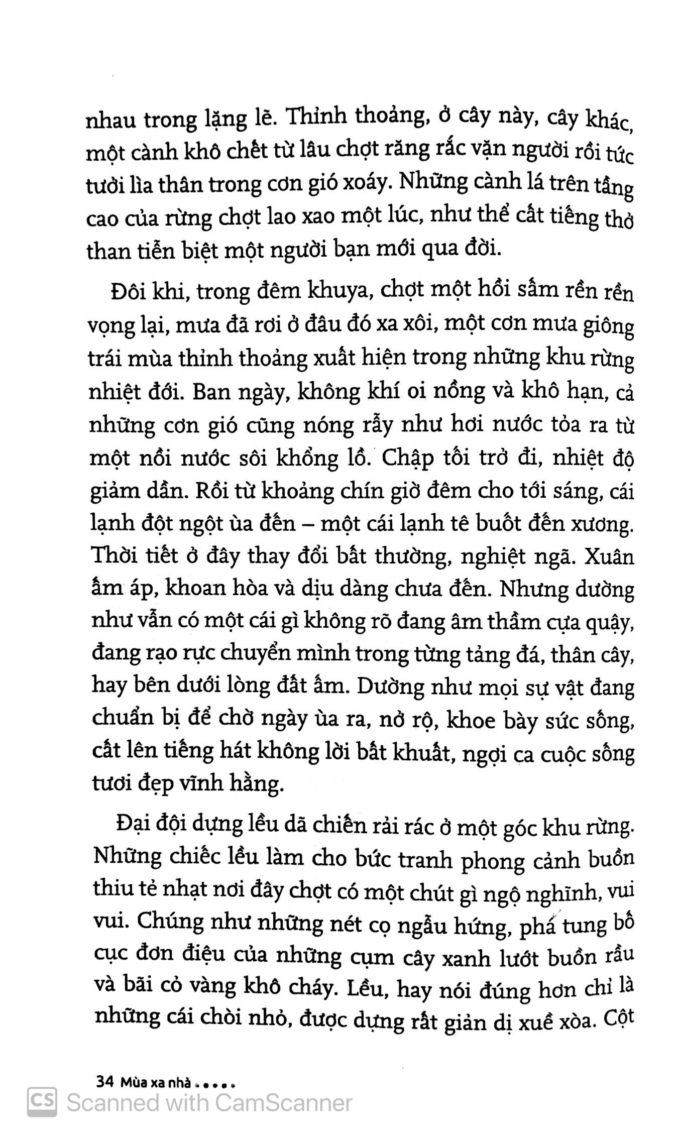 mùa xa nhà (tái bản 2019)
