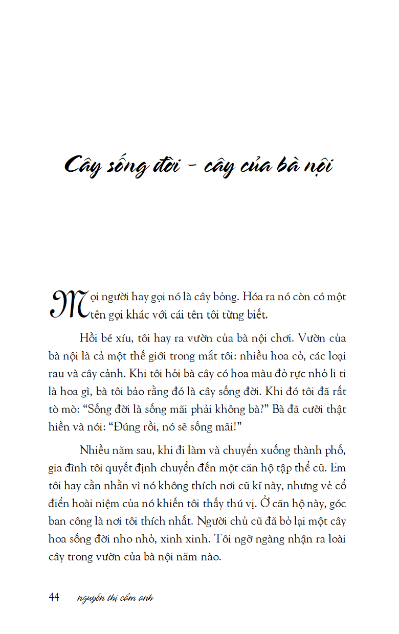 mùa xuân ở xứ sở nhiệt đới