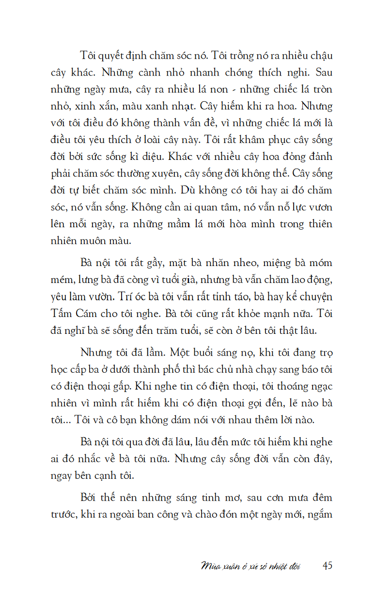 mùa xuân ở xứ sở nhiệt đới