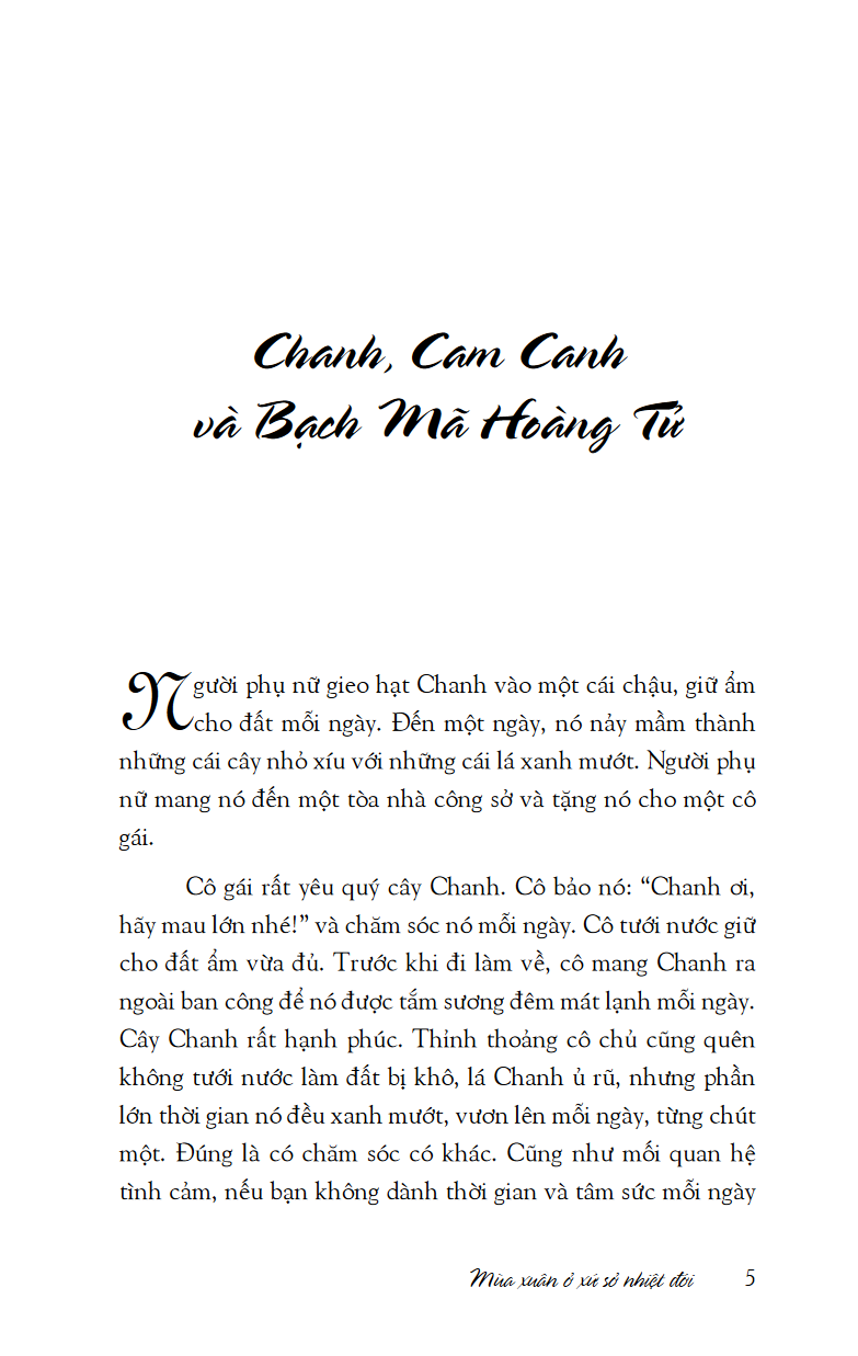 mùa xuân ở xứ sở nhiệt đới