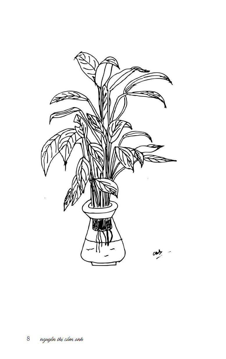 mùa xuân ở xứ sở nhiệt đới