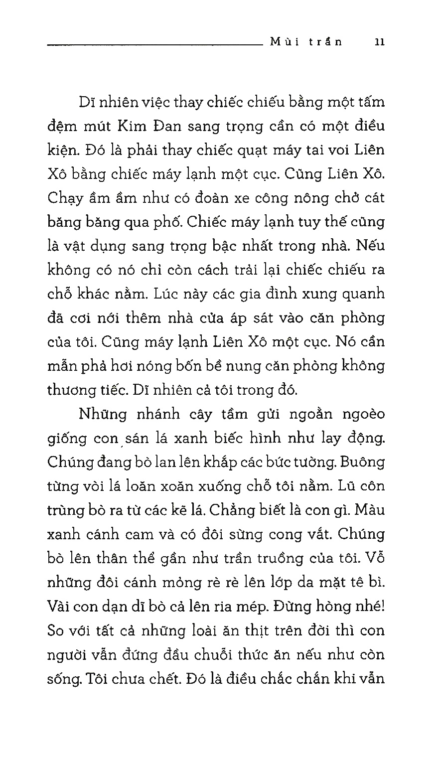 mùi trần