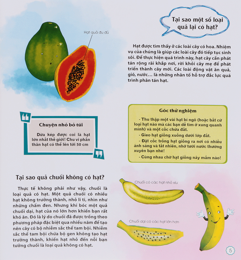 mười vạn câu hỏi tại sao - tại sao chú voi lại có đôi tai khổng lồ?
