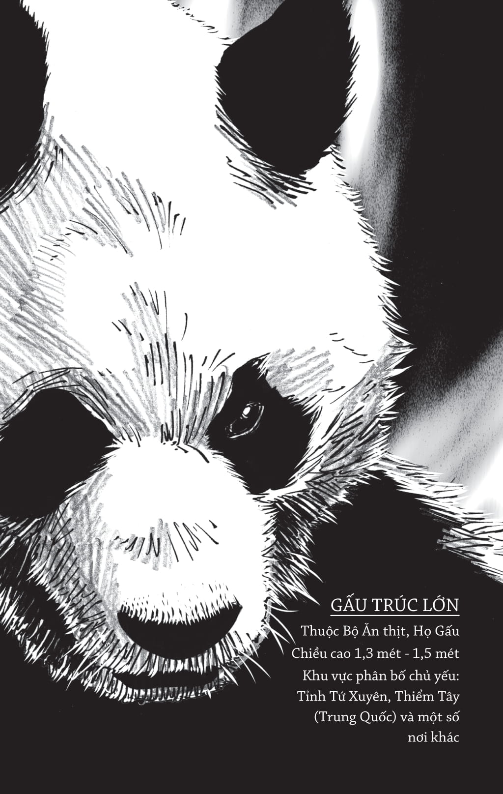 muông thú dạy ta bài học cuộc sống