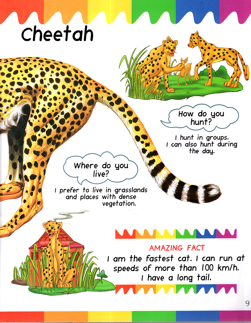 my 1st questions and answers - cats