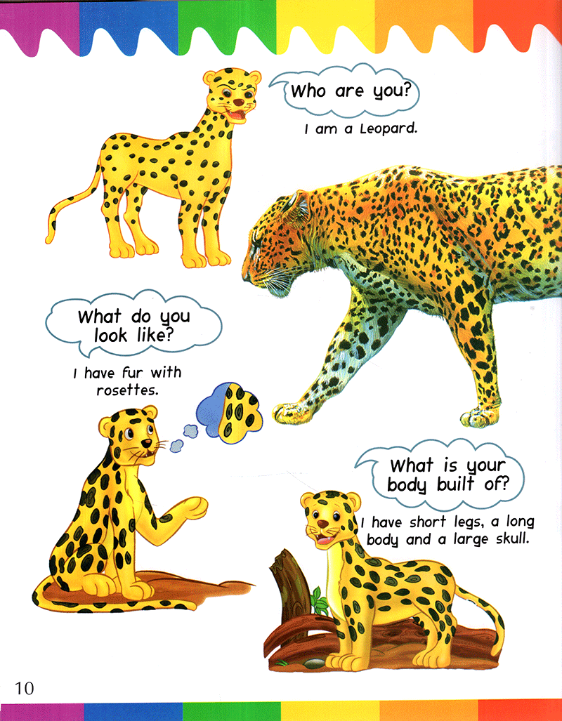 my 1st questions and answers - cats