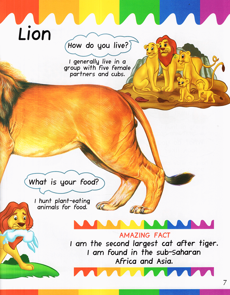 my 1st questions and answers - cats