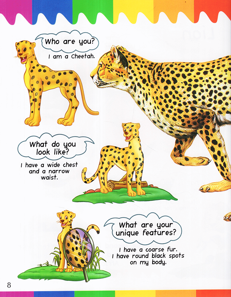 my 1st questions and answers - cats