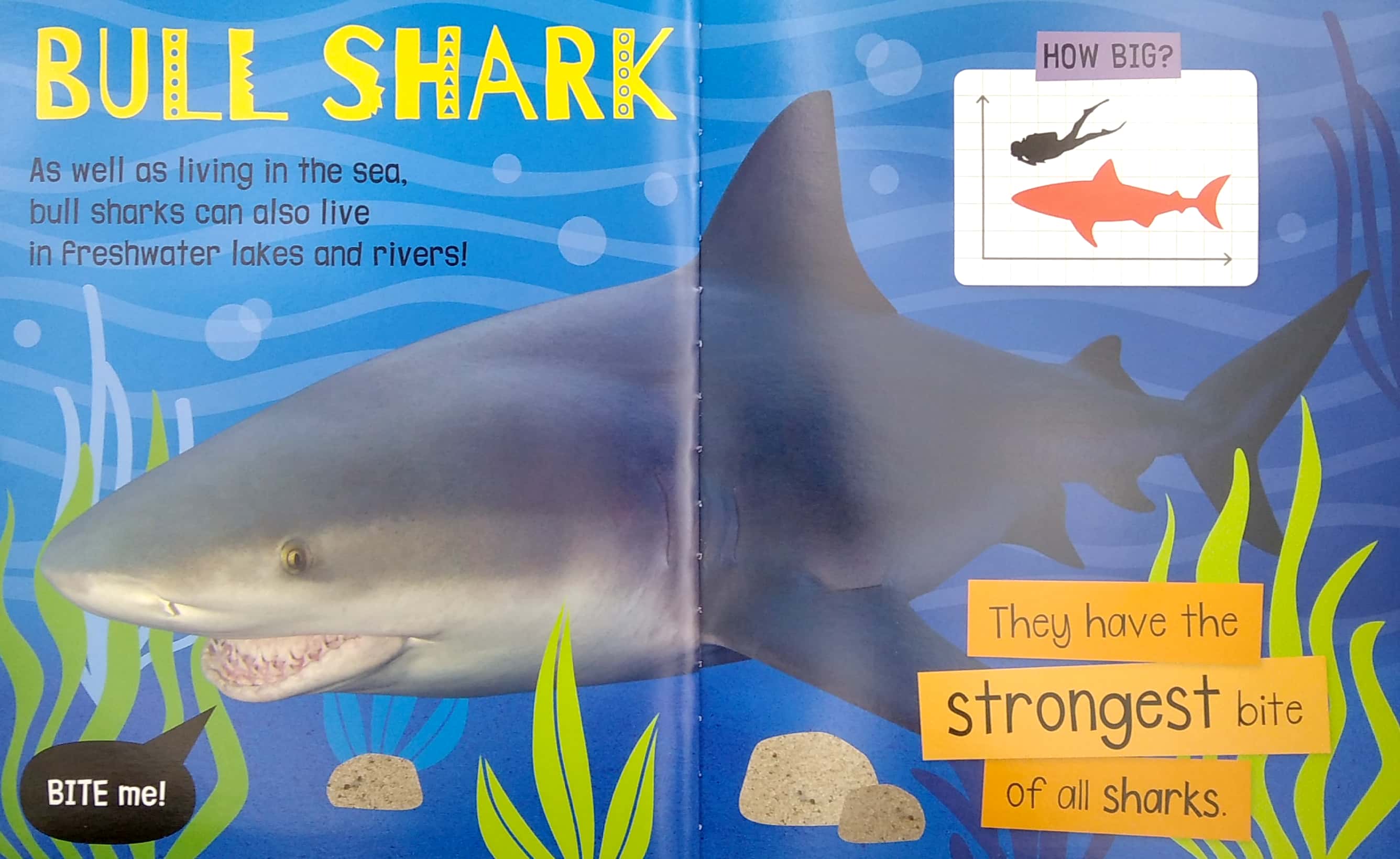 my awesome sharks book