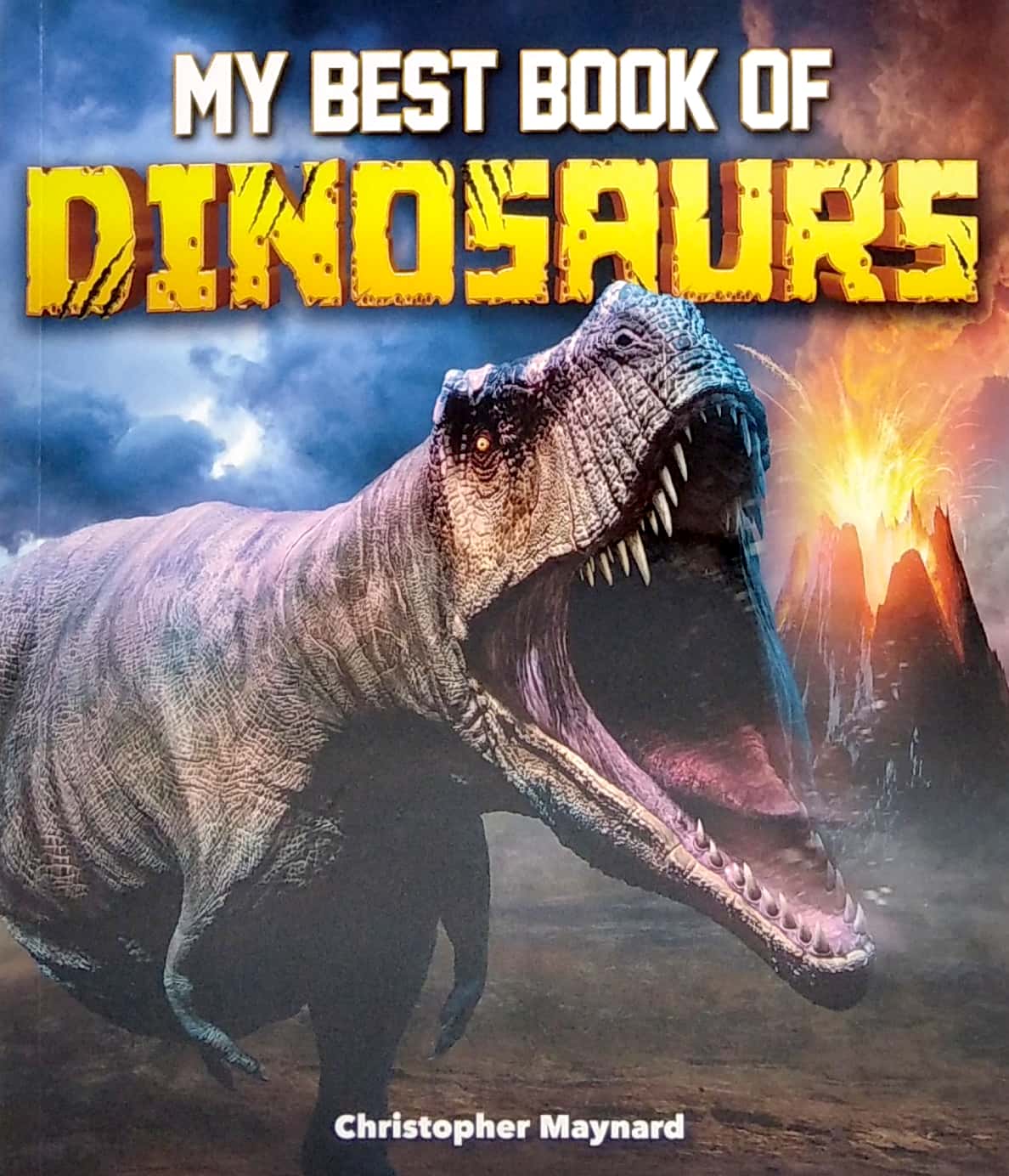 my best book of dinosaurs