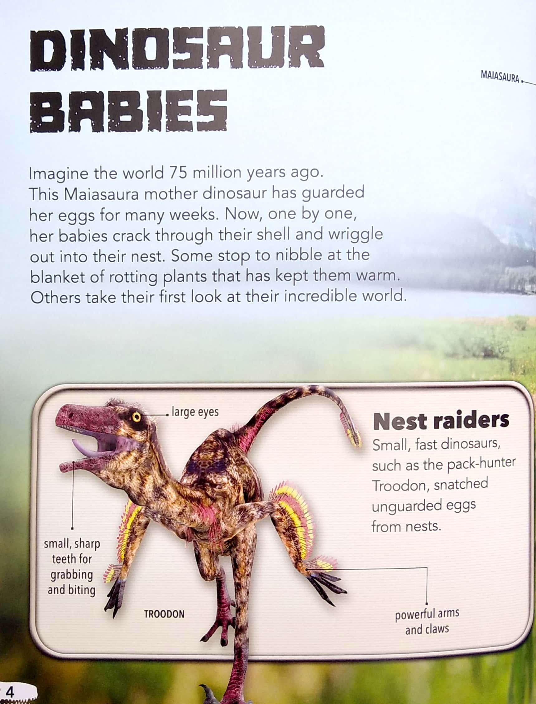 my best book of dinosaurs