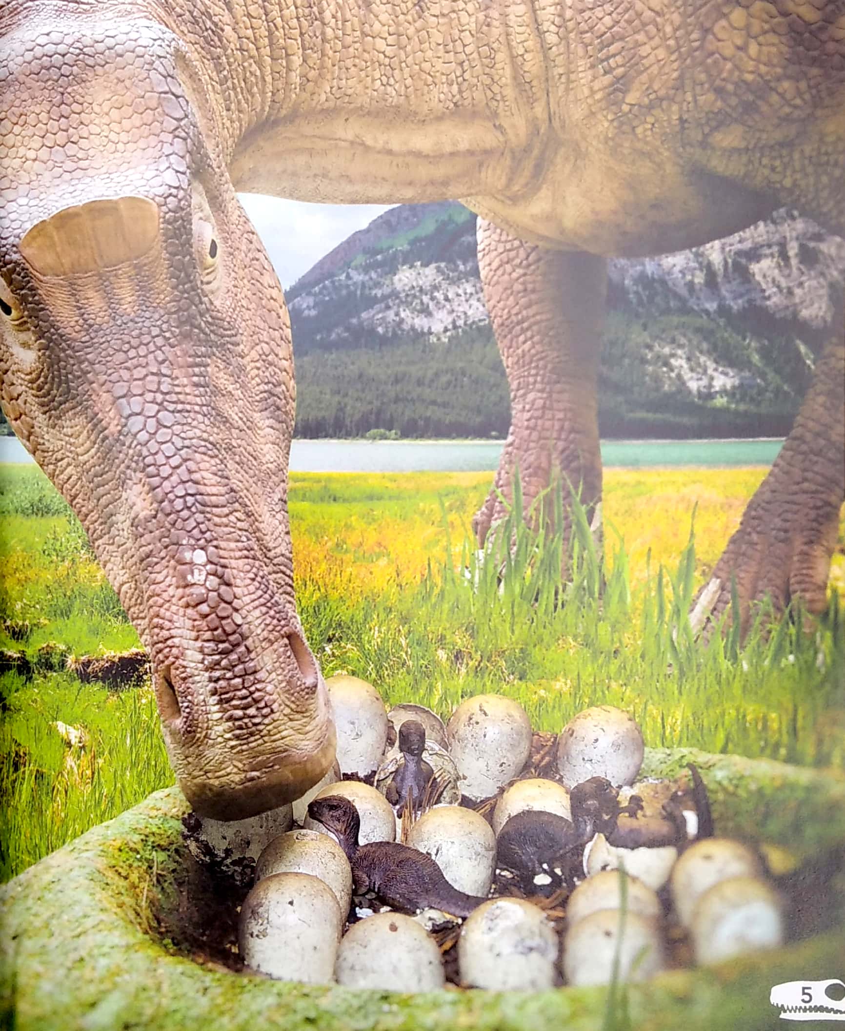 my best book of dinosaurs