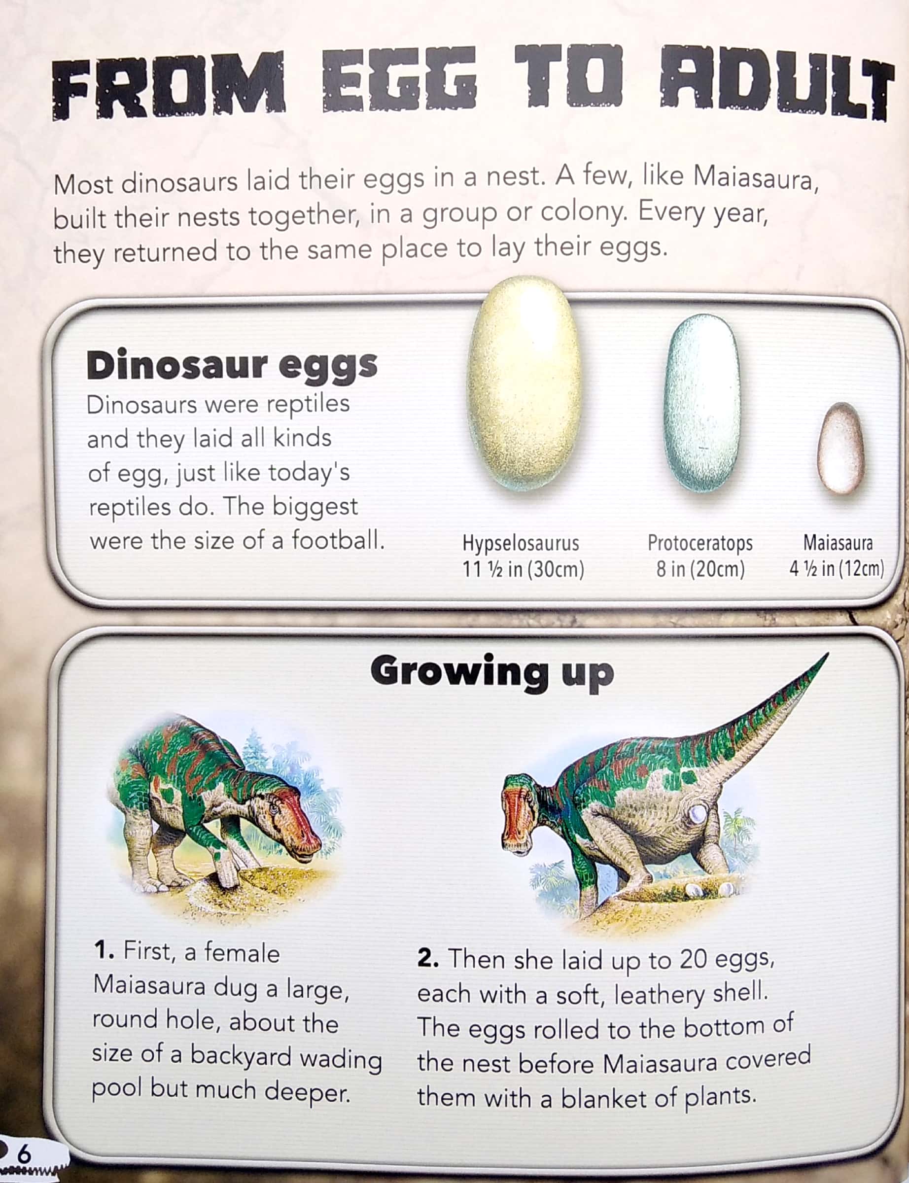 my best book of dinosaurs