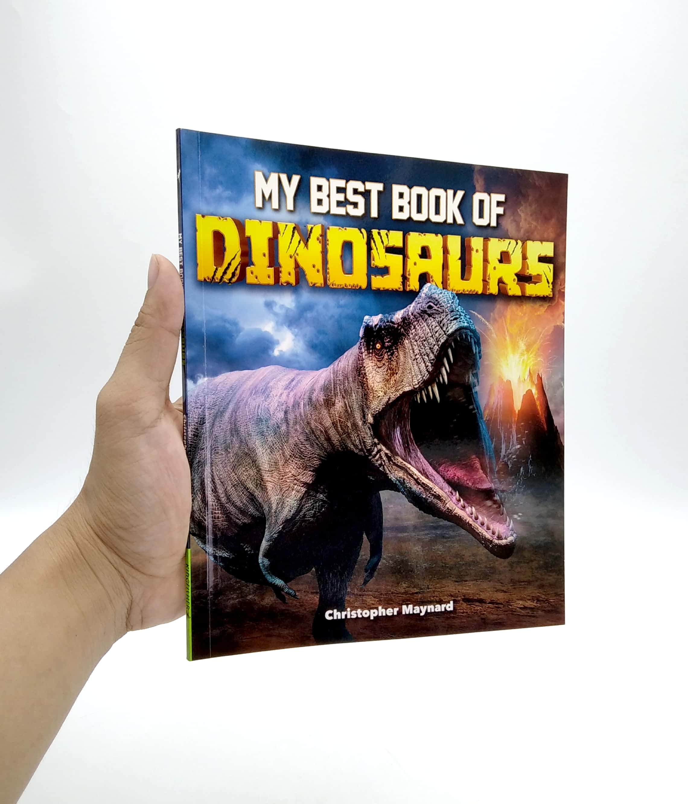 my best book of dinosaurs