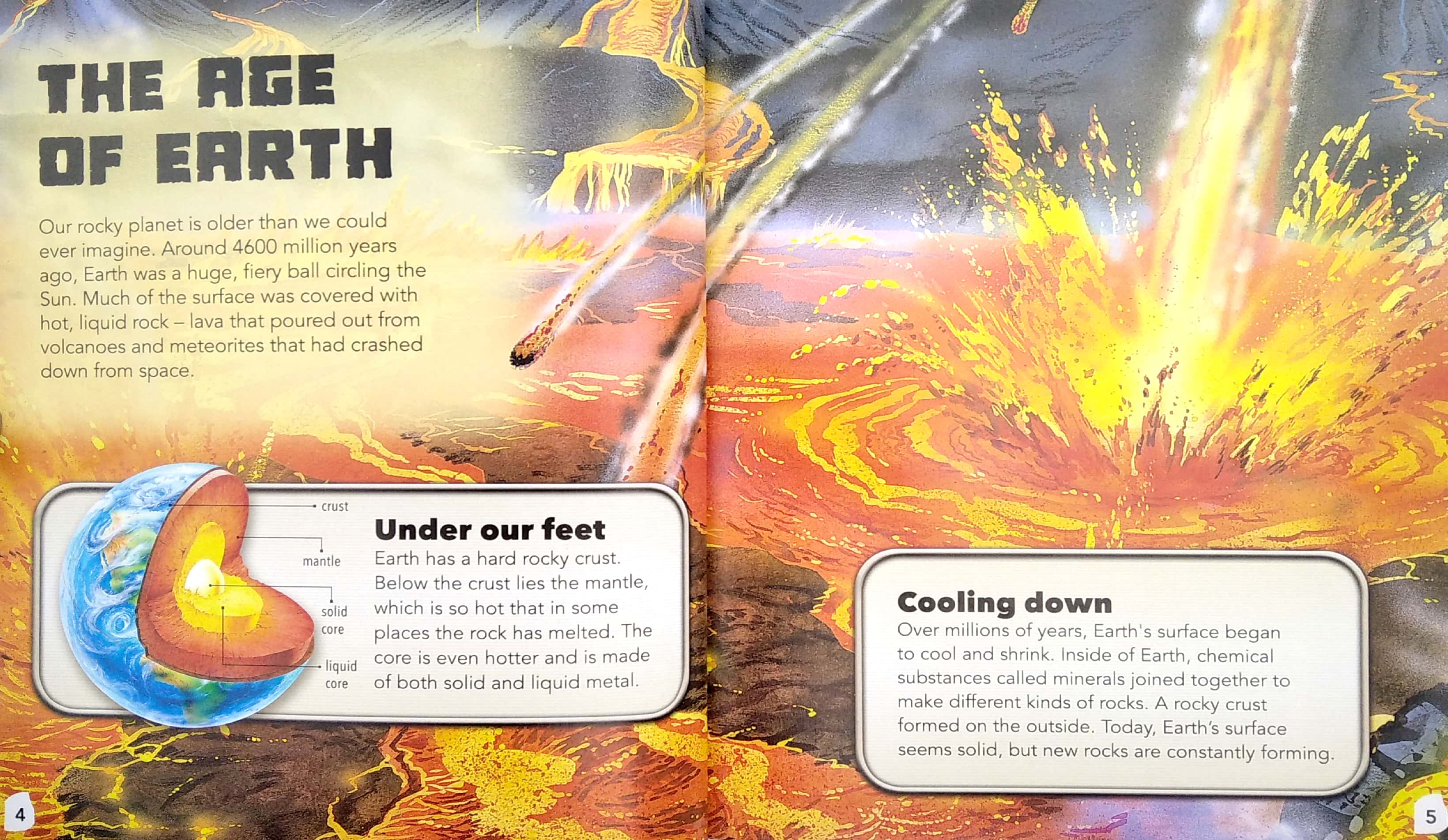 my best book of rocks and fossils