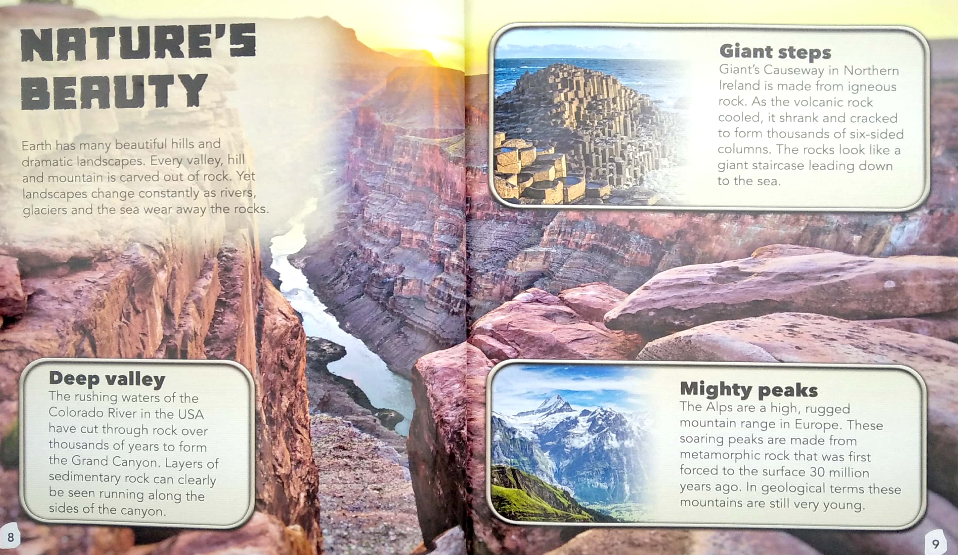 my best book of rocks and fossils