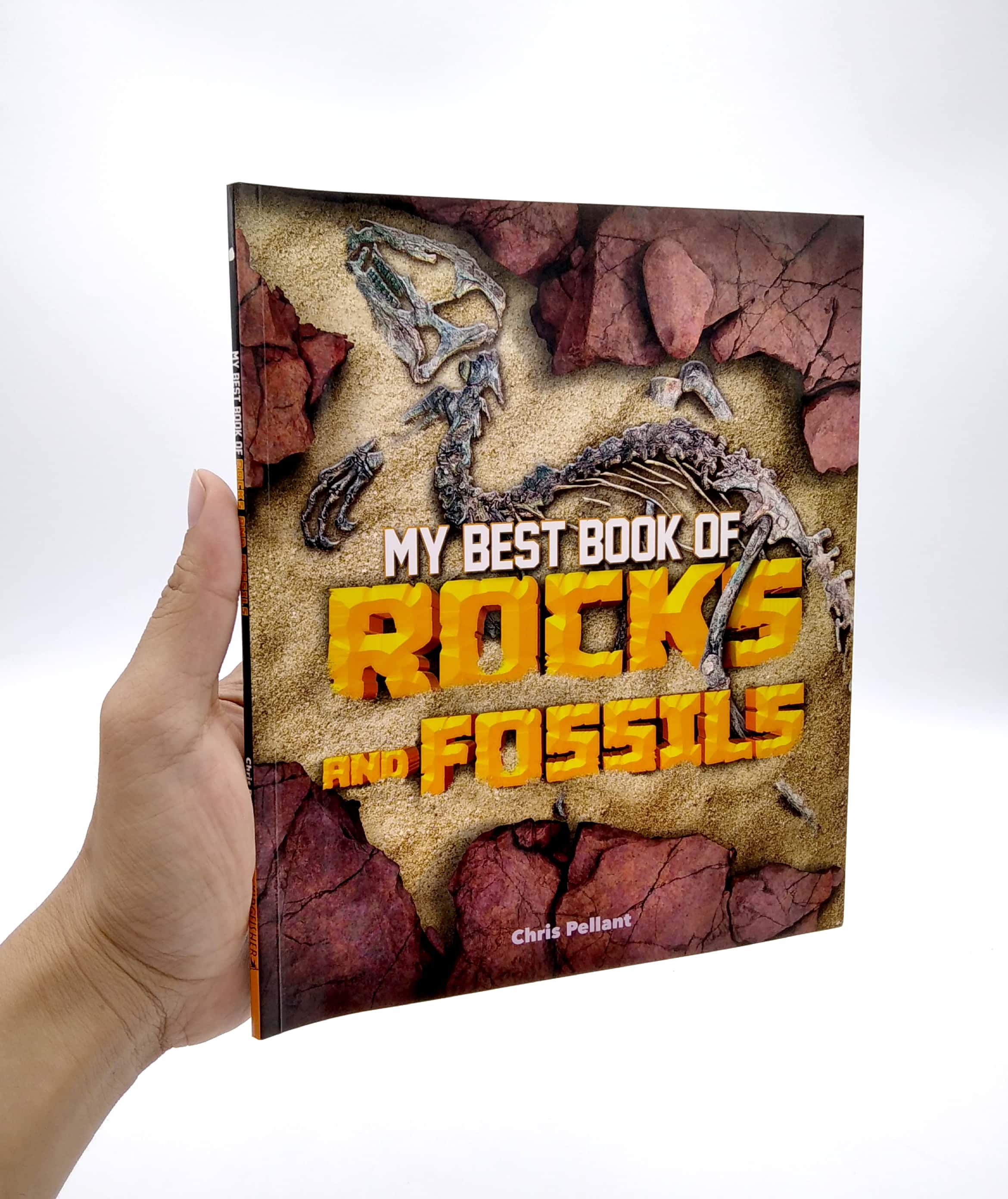 my best book of rocks and fossils