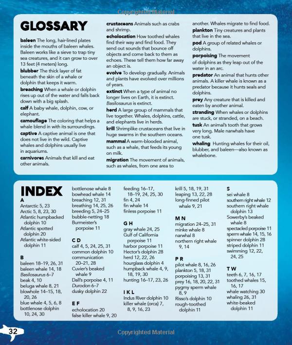 my best book of whales and dolphins