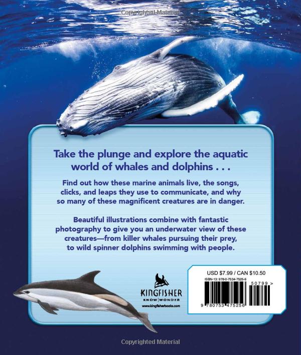 my best book of whales and dolphins