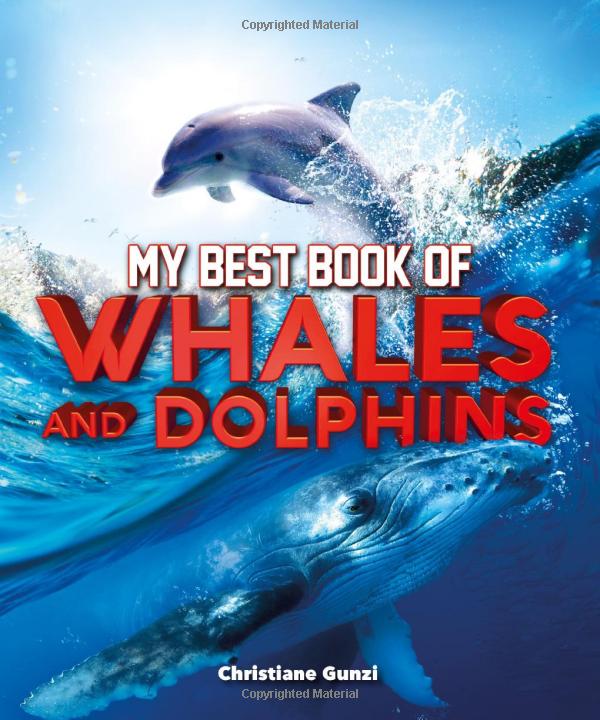 my best book of whales and dolphins
