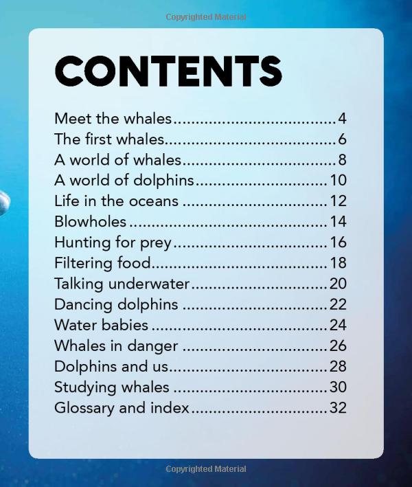 my best book of whales and dolphins