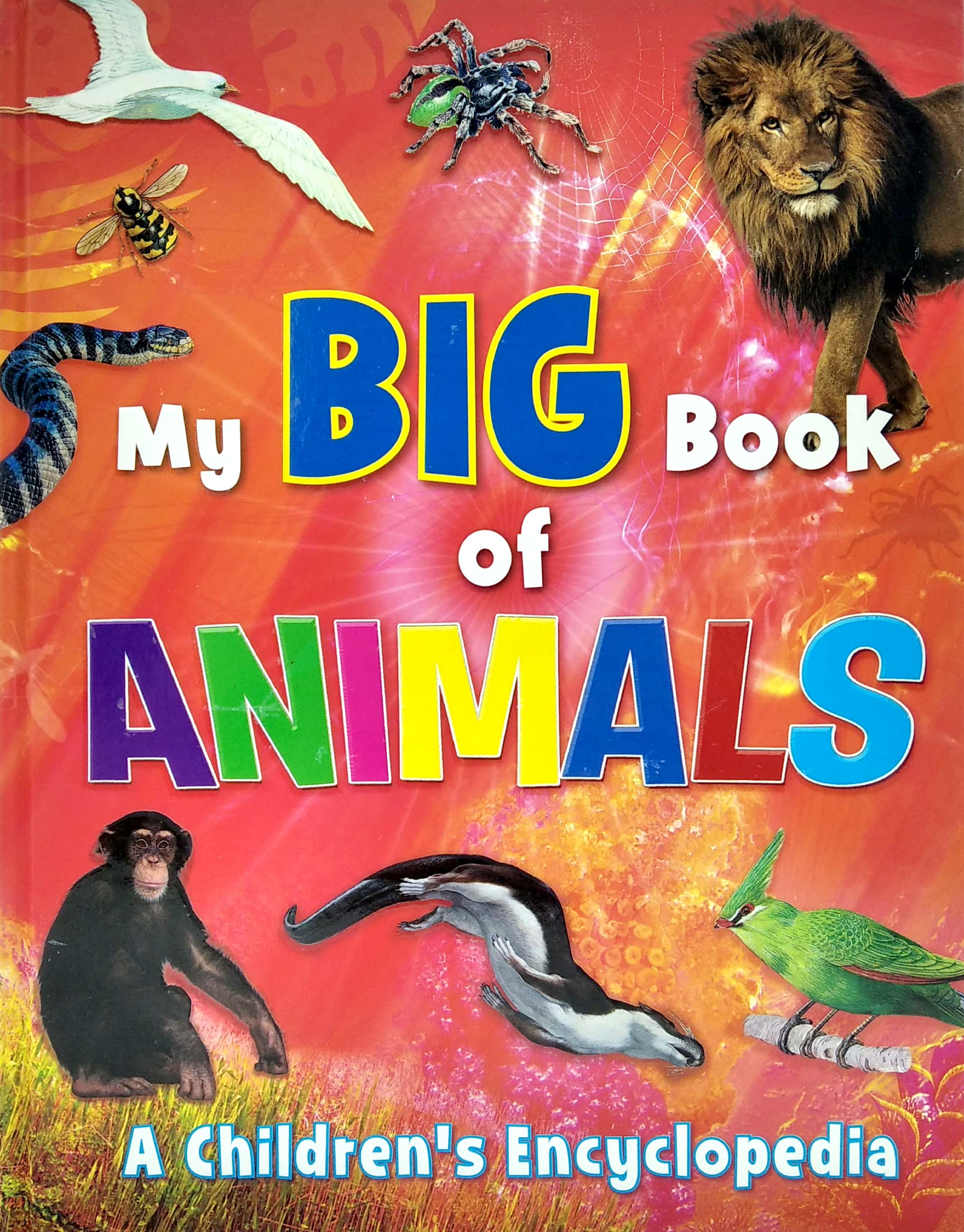 my big book of animals