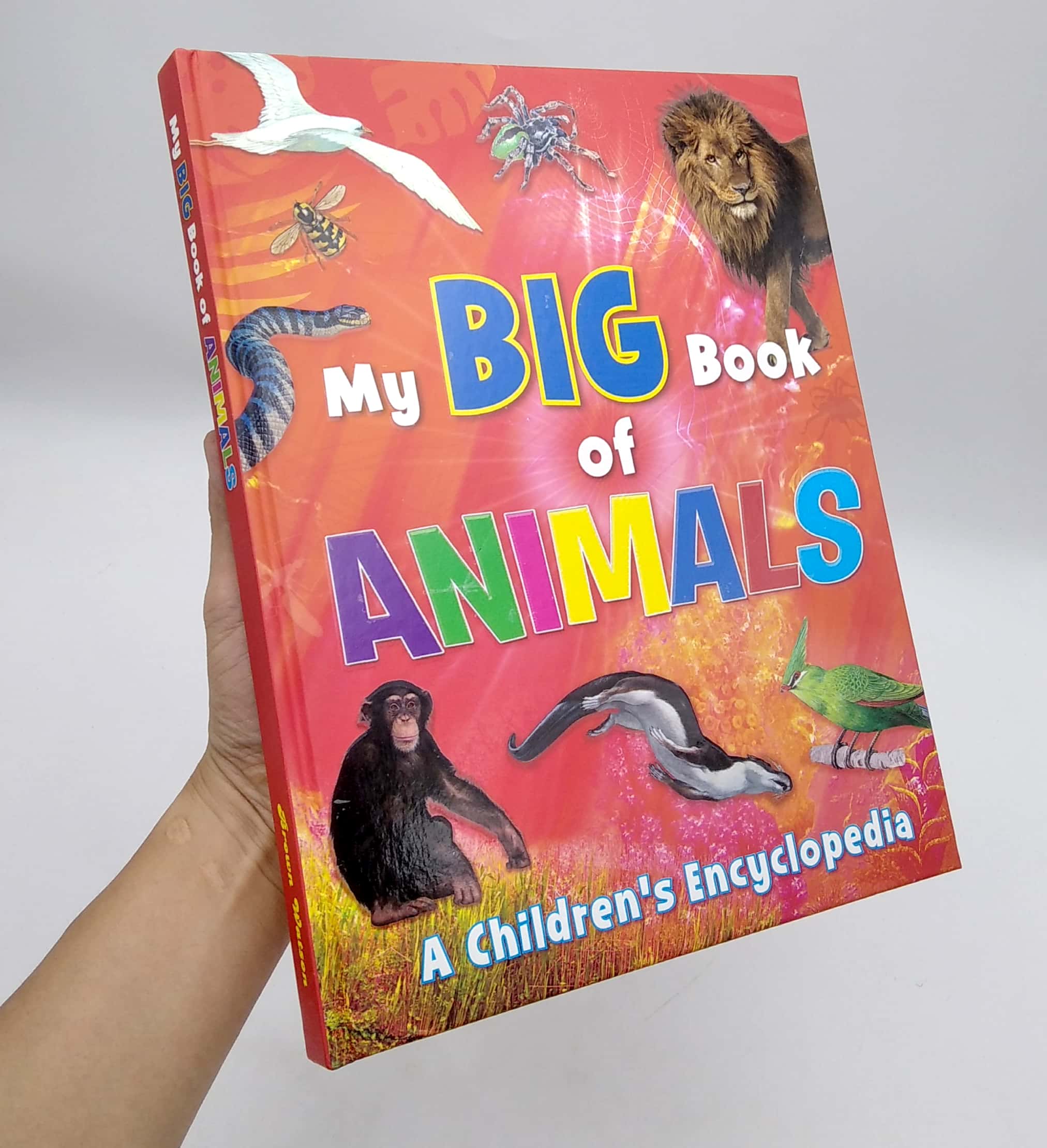 my big book of animals