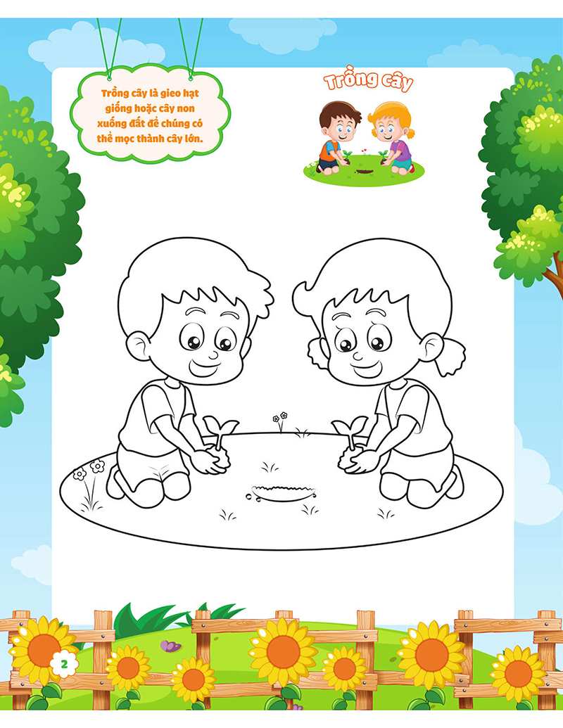 my big garden - con tô màu cảm xúc khu vườn