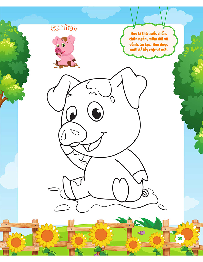 my big garden - con tô màu cảm xúc khu vườn