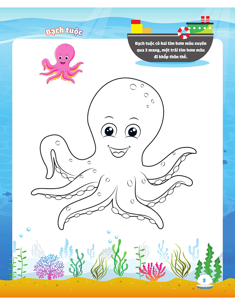 my big ocean - con tô màu cảm xúc đại dương