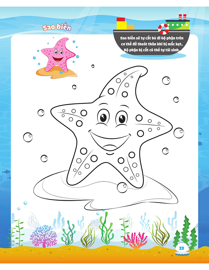 my big ocean - con tô màu cảm xúc đại dương