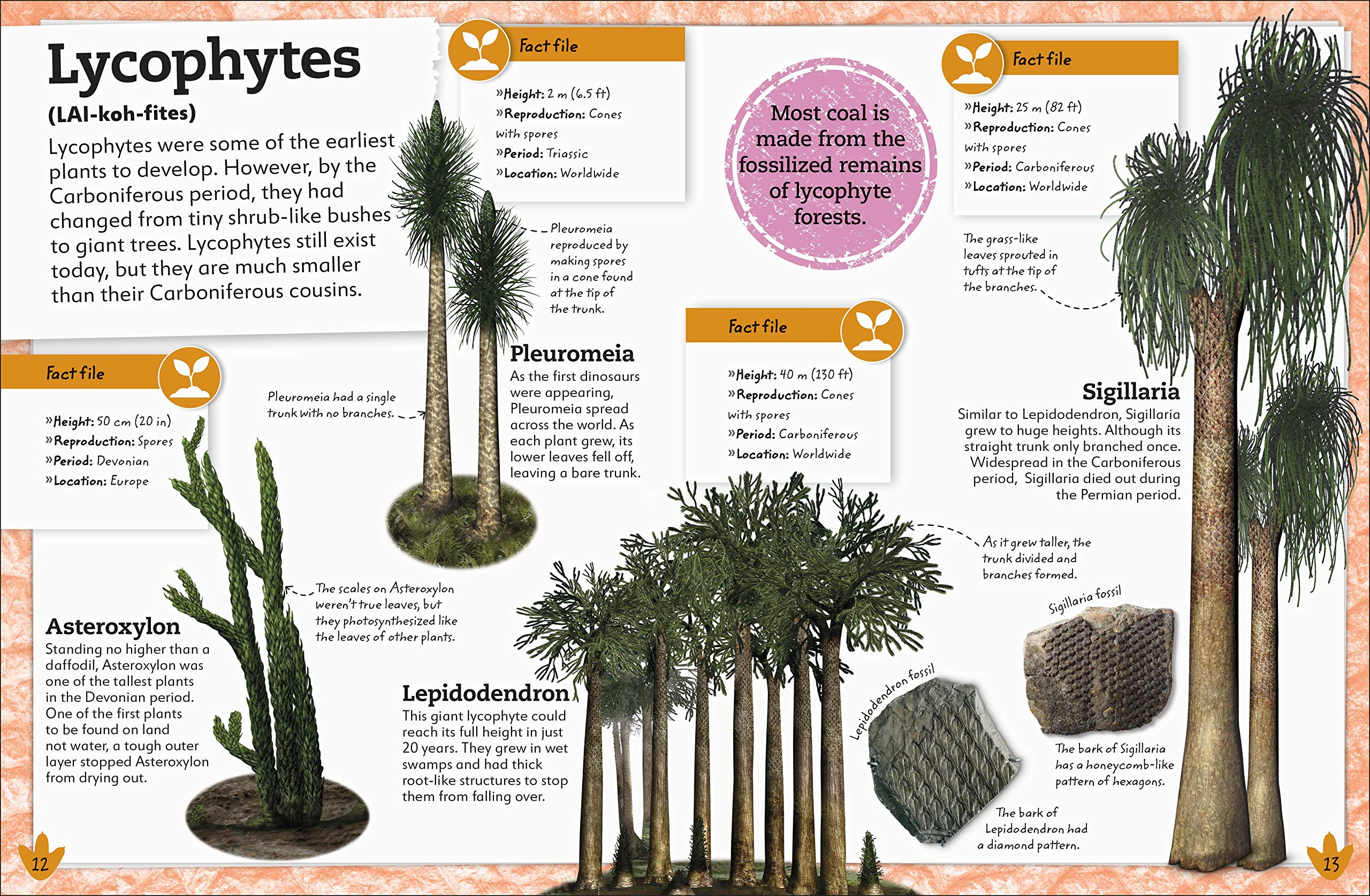 my book of dinosaurs and prehistoric life: animals and plants to amaze, surprise, and astonish!