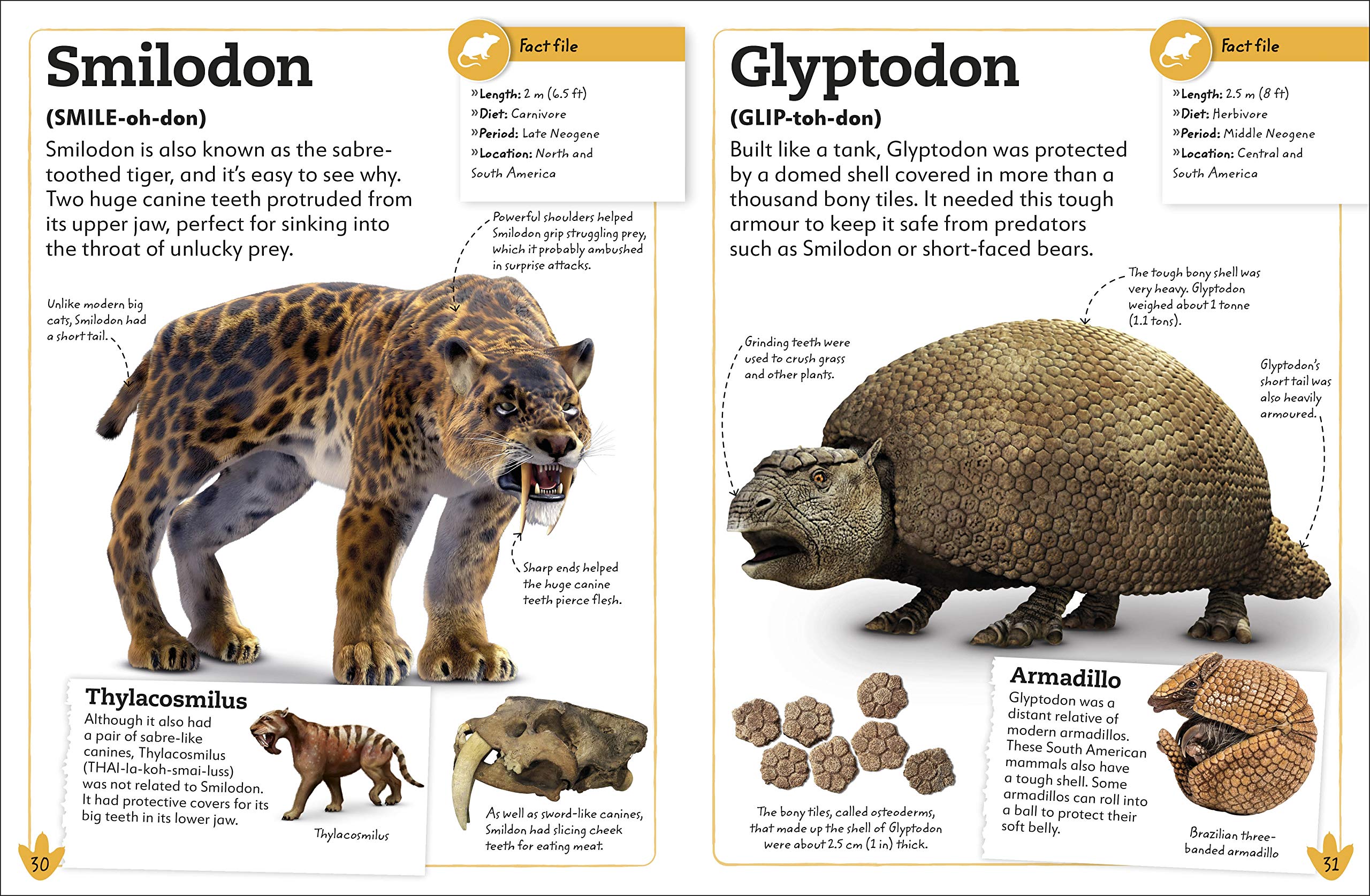 my book of dinosaurs and prehistoric life: animals and plants to amaze, surprise, and astonish!