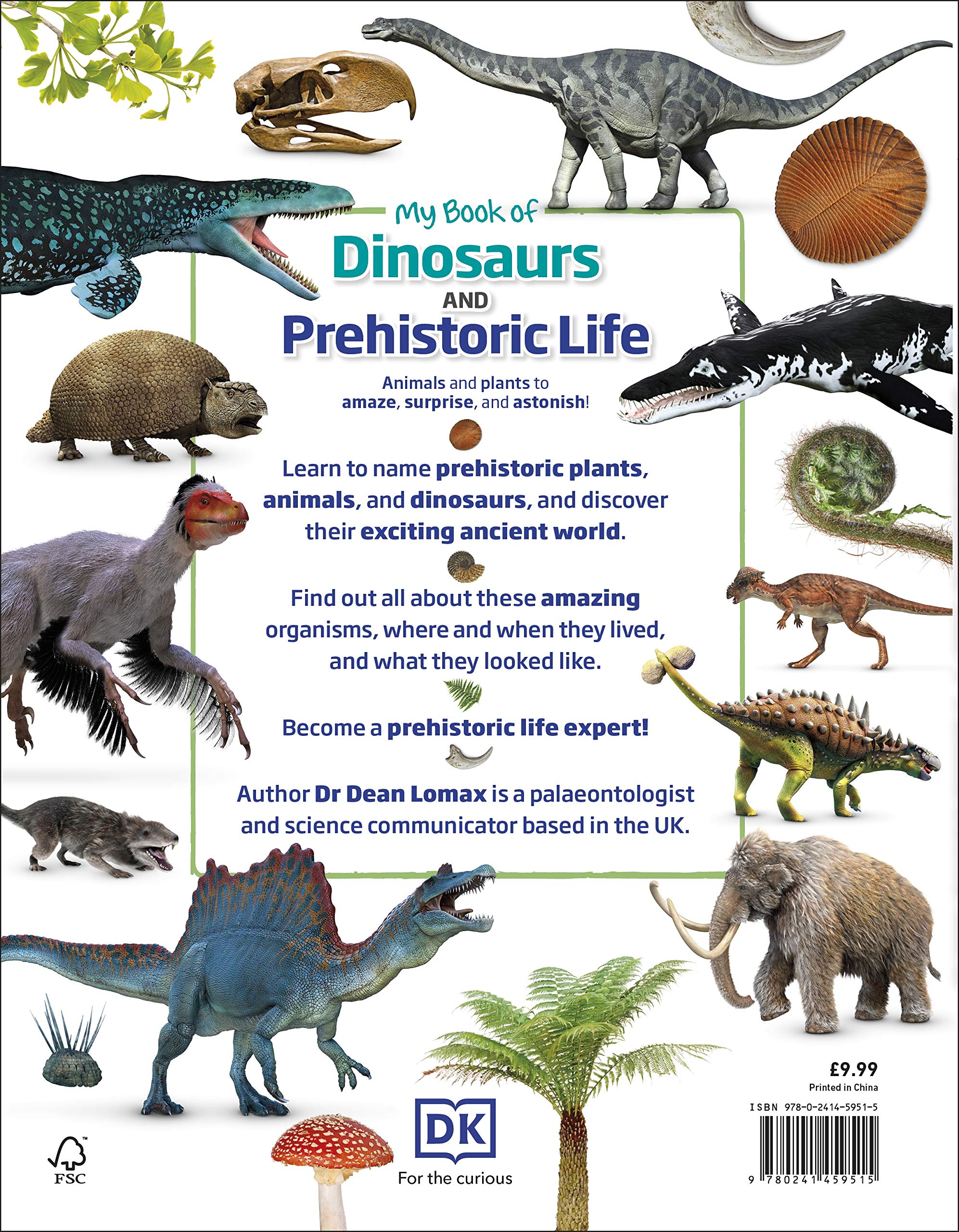 my book of dinosaurs and prehistoric life: animals and plants to amaze, surprise, and astonish!