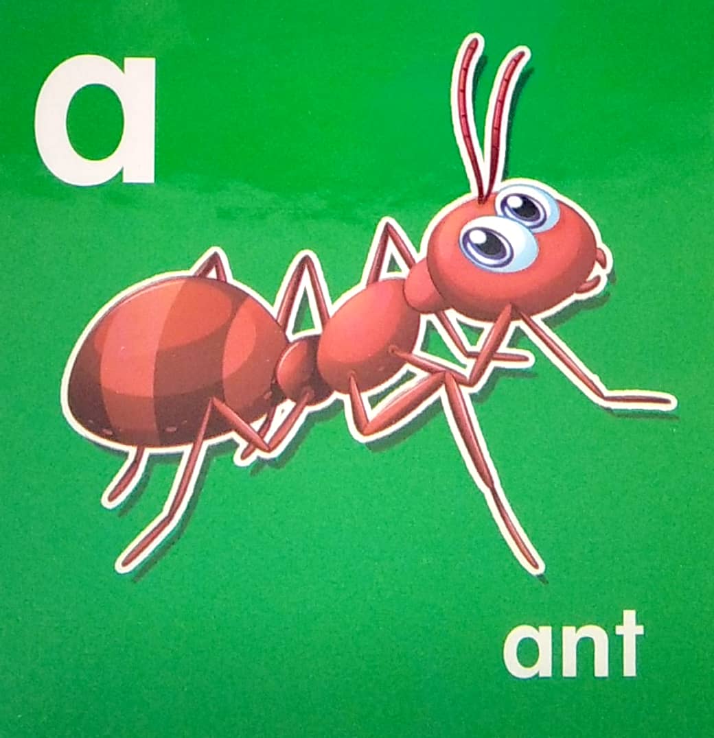 my brainy block books: baby's first abc