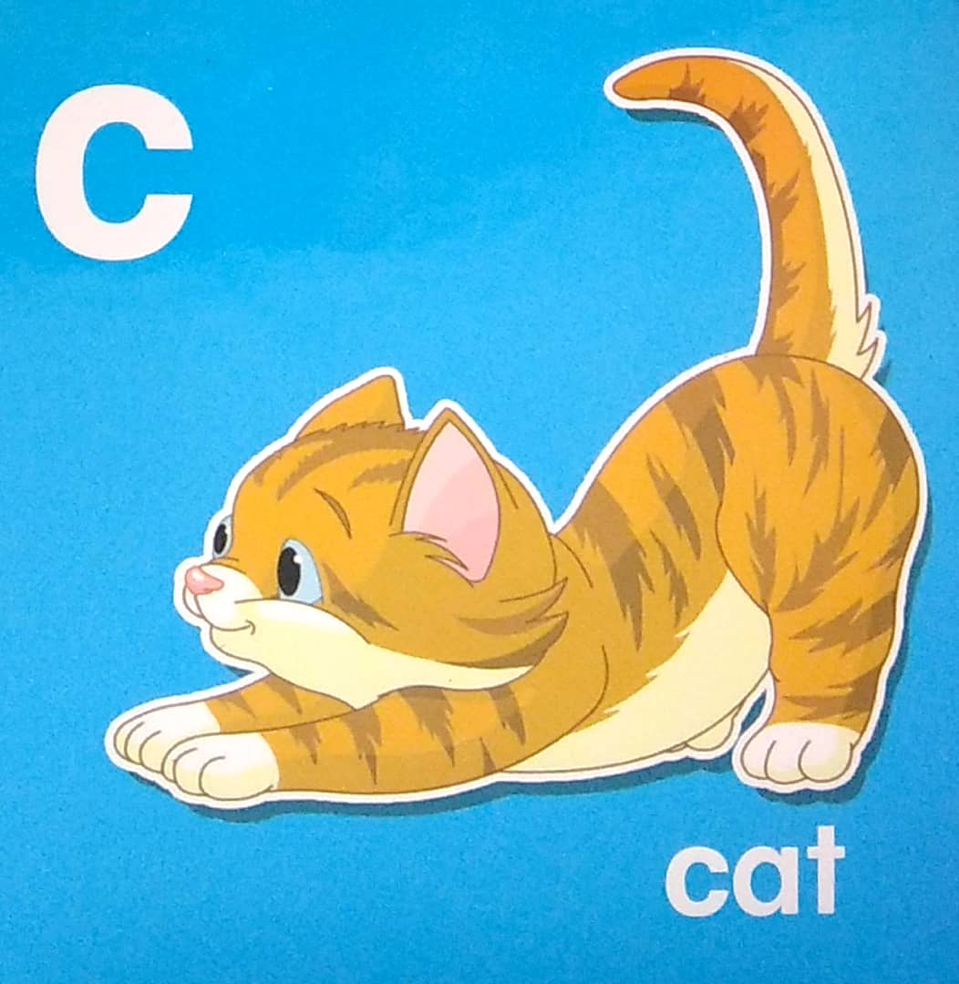 my brainy block books: baby's first abc