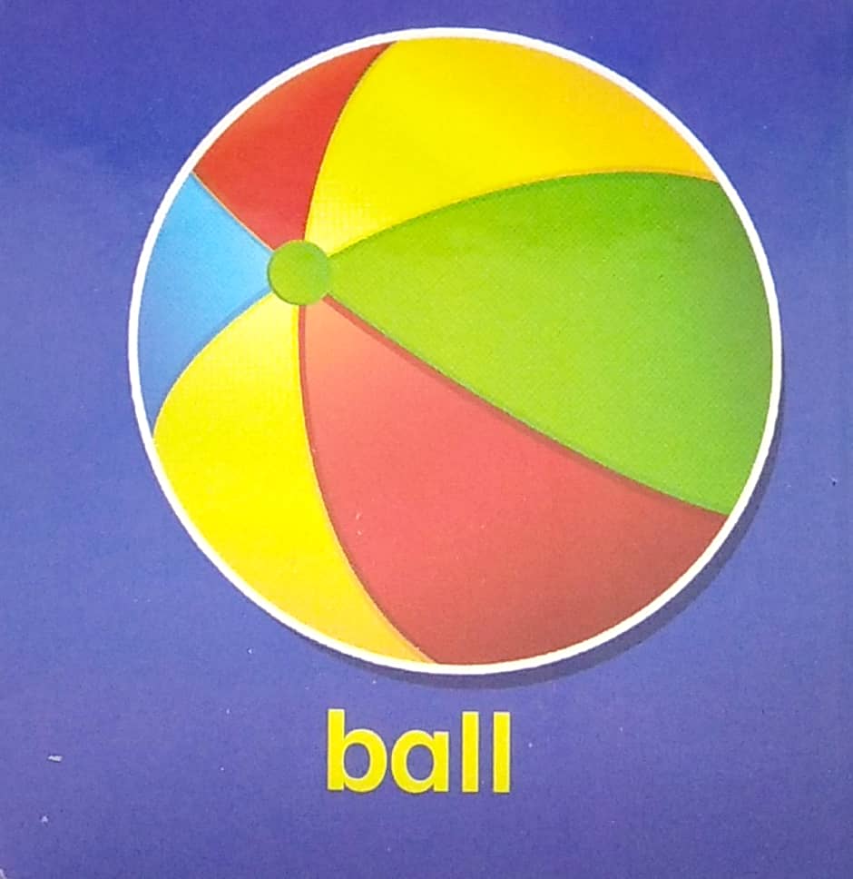 my brainy block books: first words