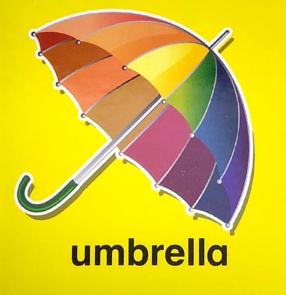 my brainy block books: first words