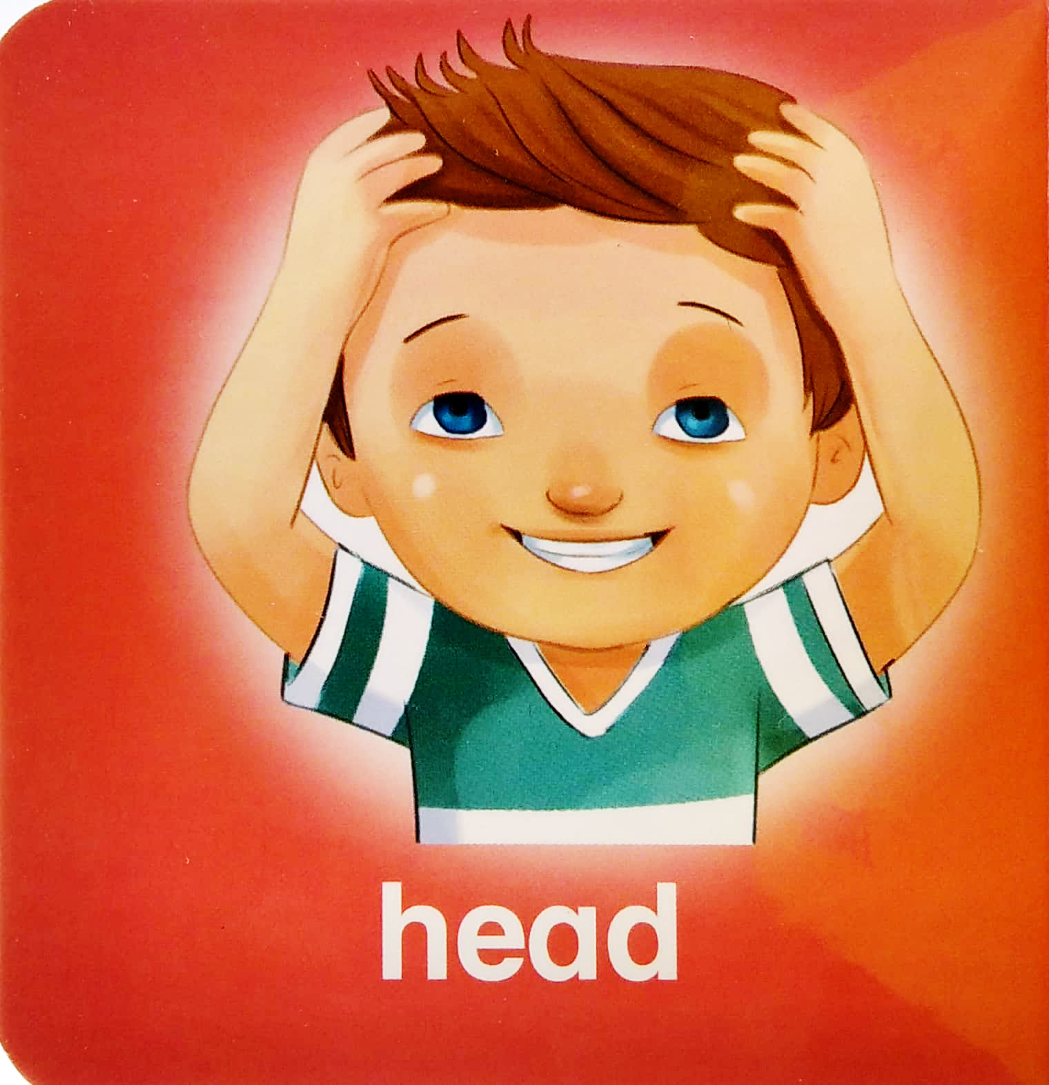 my brainy block books: my body