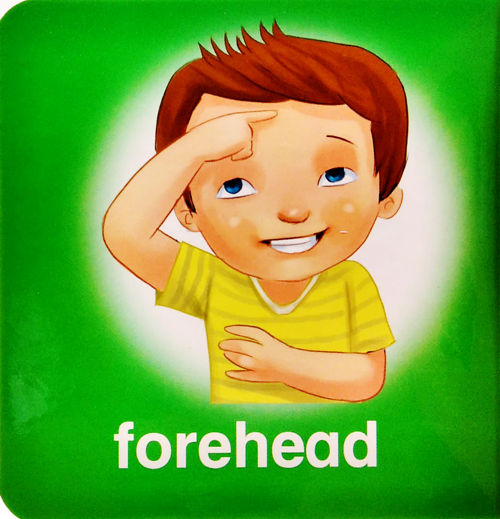 my brainy block books: my body