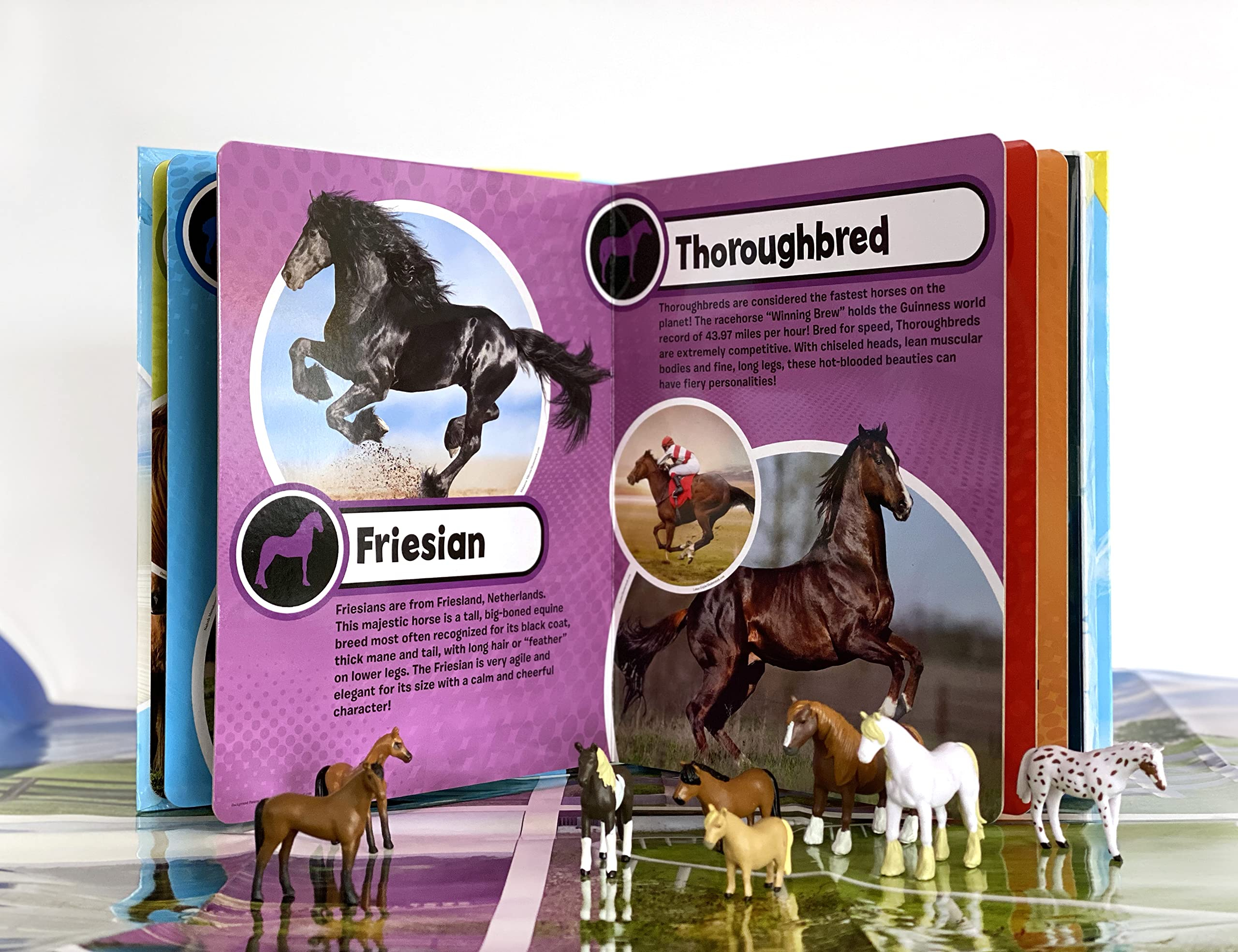 my busy books: world of horses