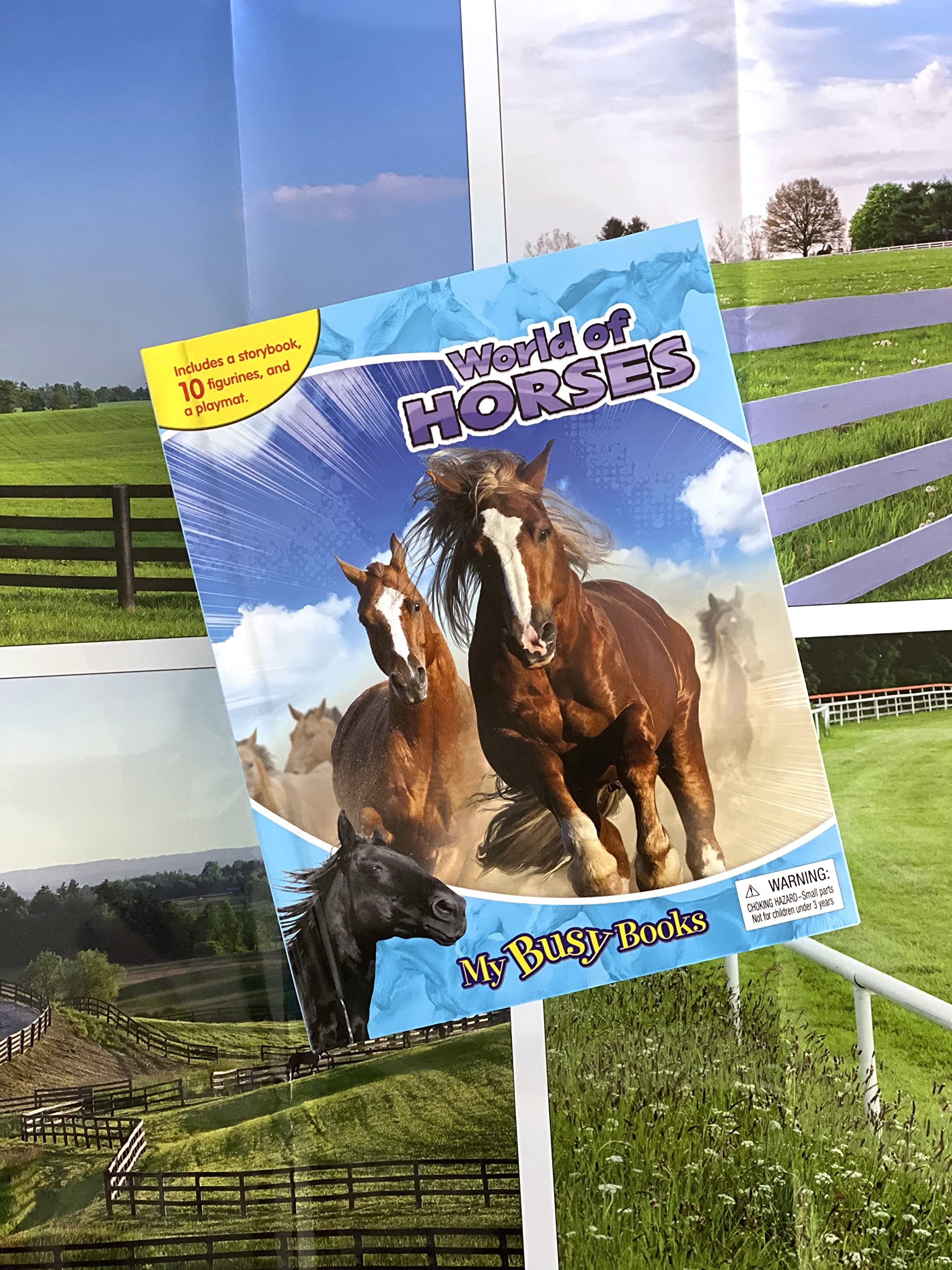 my busy books: world of horses