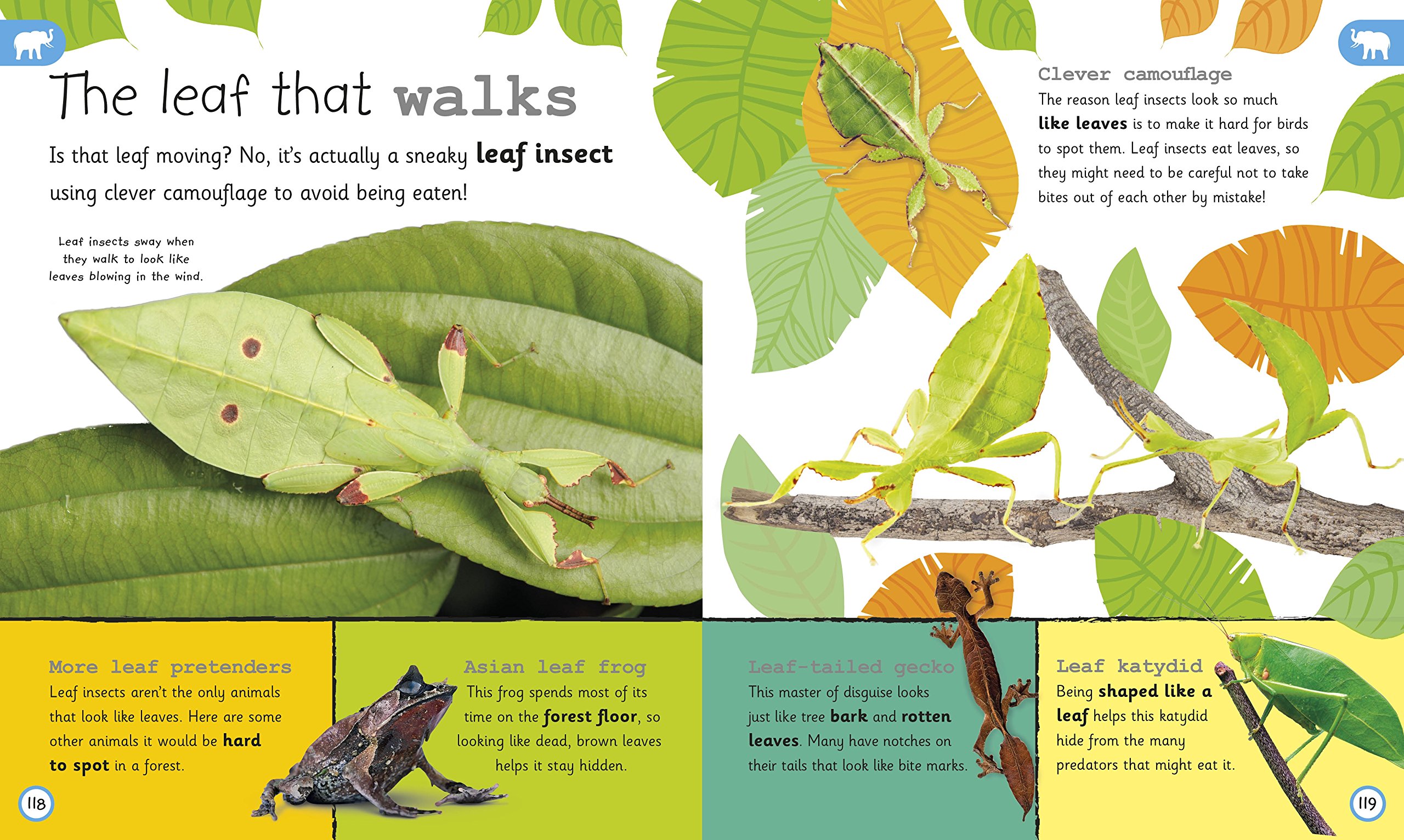 my encyclopedia of very important animals: for little animal lovers who want to know everything (my very important encyclopedias)