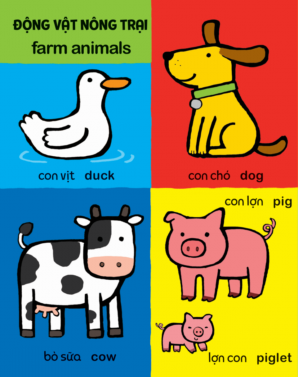 my first 100 animals - thế giới động vật - bìa cứng