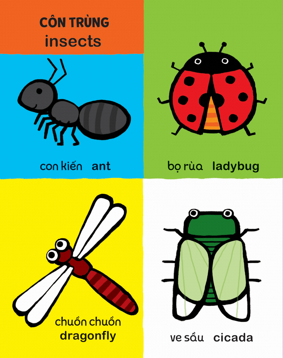 my first 100 animals - thế giới động vật - bìa cứng