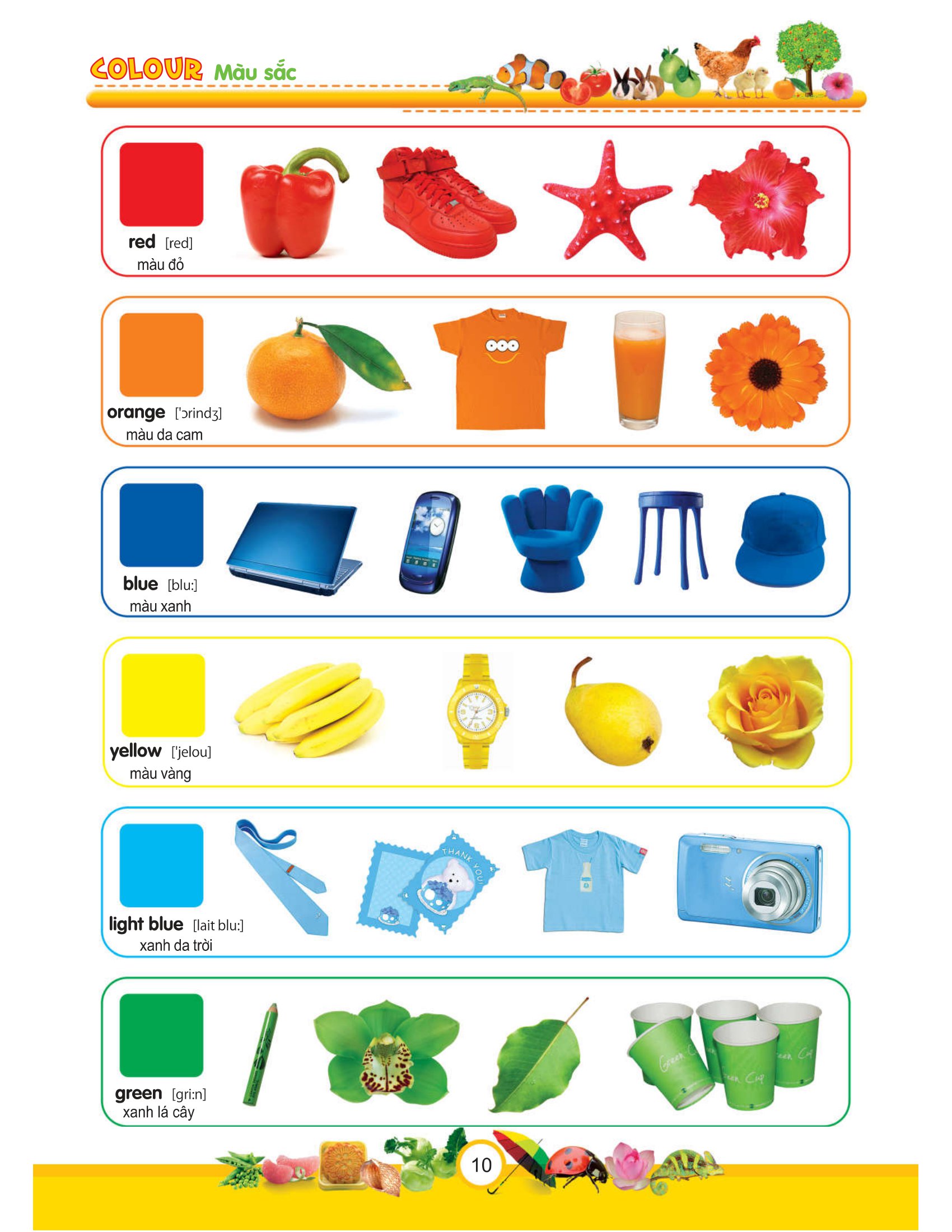 my first 1000 words - 1000 từ tiếng anh đầu tiên - bìa cứng (tái bản 2022)