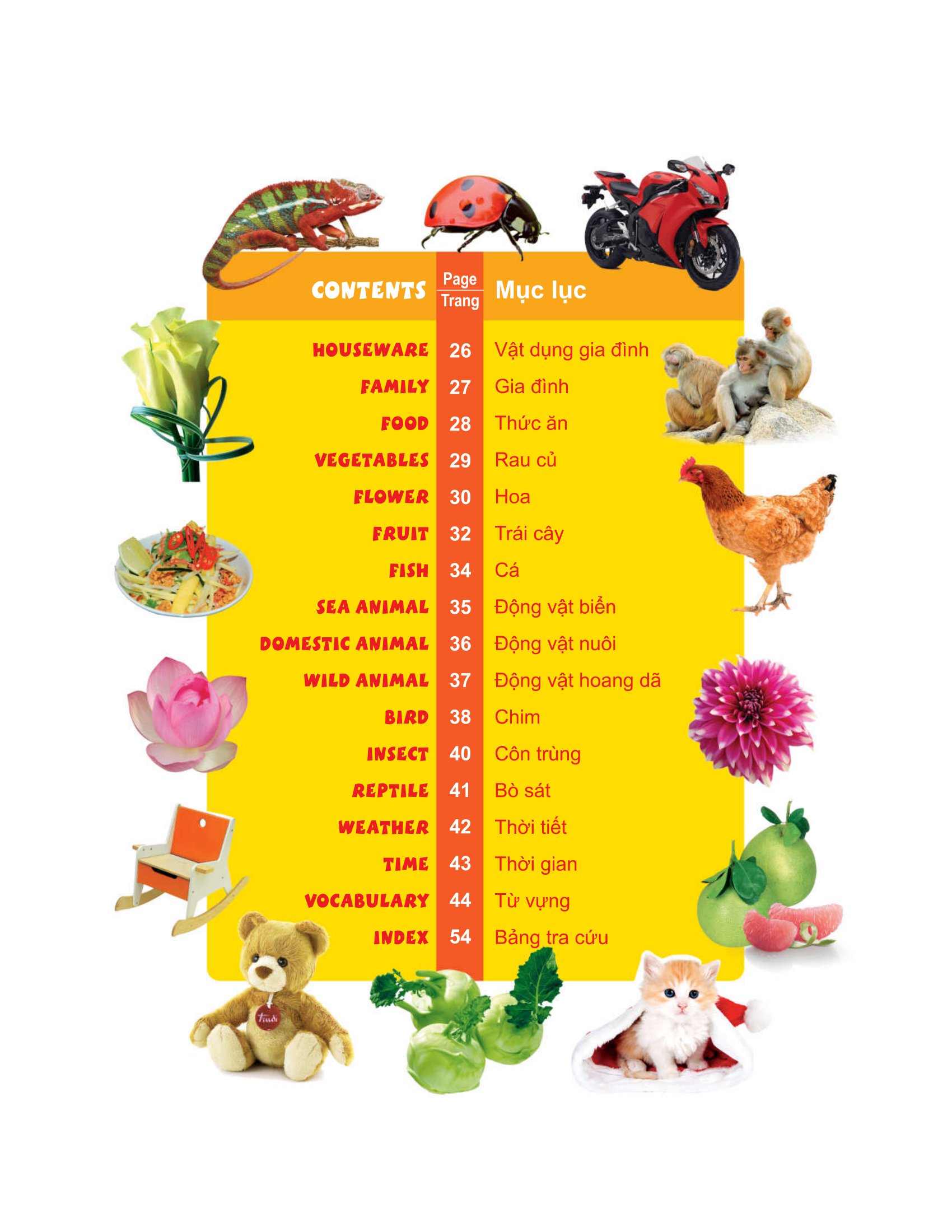 my first 1000 words - 1000 từ tiếng anh đầu tiên - bìa cứng (tái bản 2022)