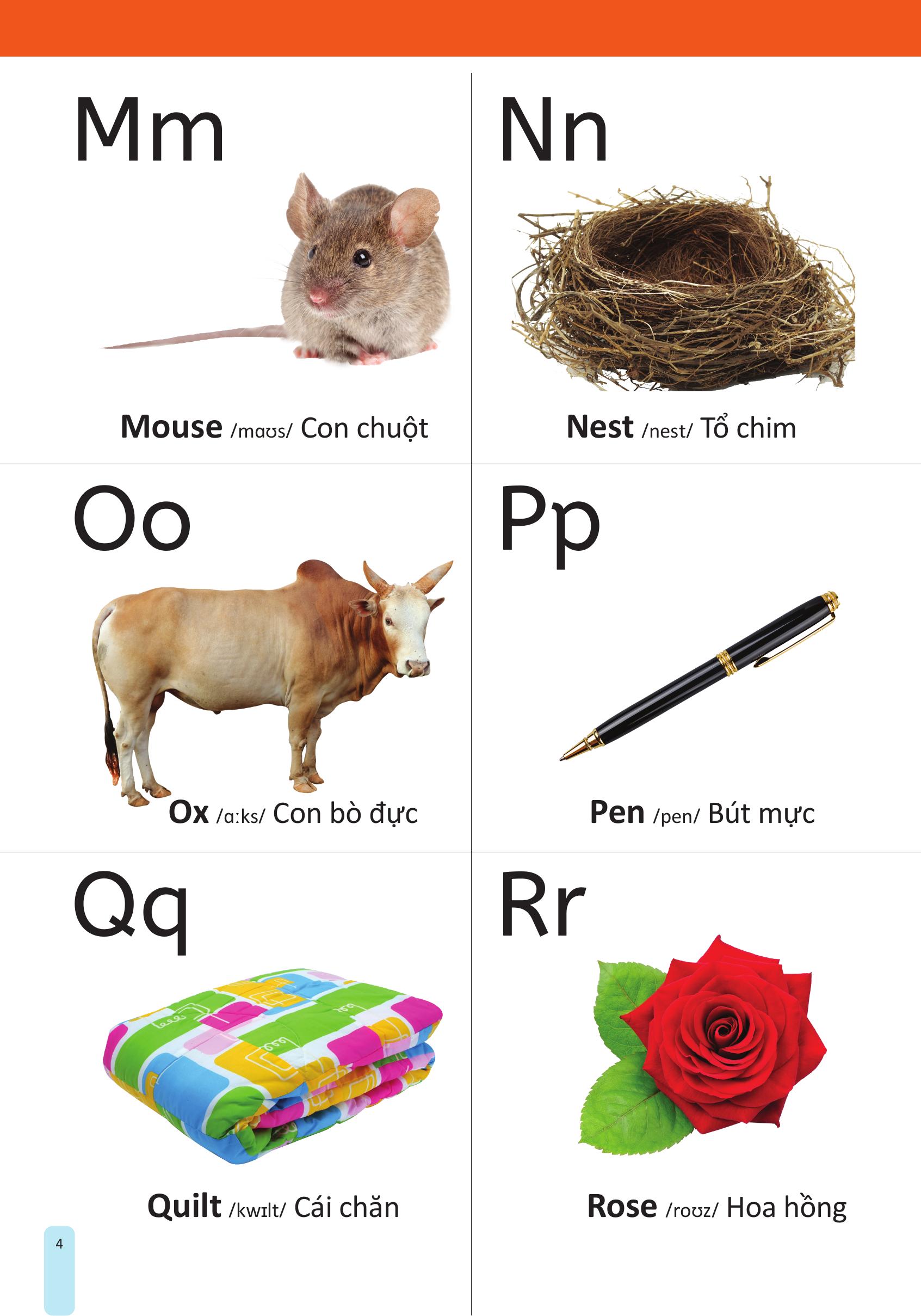 my first 1000 words - 1000 từ vựng tiếng anh đầu tiên cho trẻ - bìa cứng